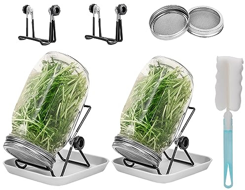 Lulonpon 2pcs Sprouts Growing Jar Kit, Wide Mouth Quart Mason Jars with Stainless Steel Screen Sprout Lids, 86mm,1000ml,Stand,Tray and Canning Brush,Seed Sprouter Set for Broccoli, Alfalfa, Mung Bean