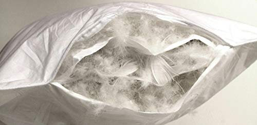 Betten Hofmann 2 x Hofmann Premium 3-Kammer Kopfkissen 40x80 Daunenkissen mit weicher Daunenhülle waschbar, stabil, Naturprodukt