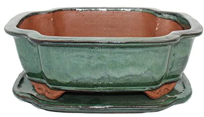 Exotenherz - Bonsaiskål med fat storlek 4 – grön – haitang/oval – modell I4 – L 26 cm – B 20,5 cm – H 8,5 cm