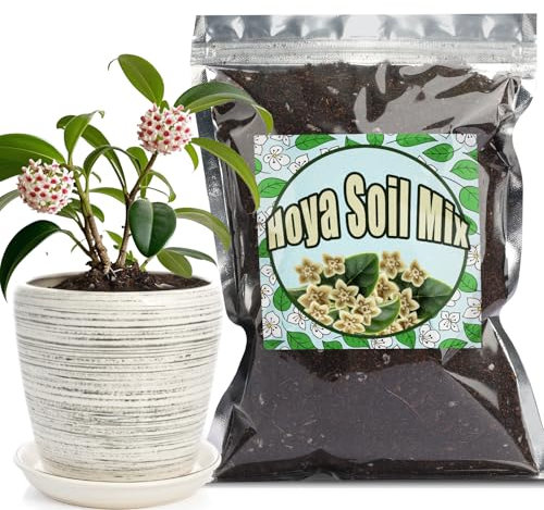 GOTVUGE Mélange de terreau pour Hoya, mélange personnalisé mélangé à la main pour plante de fougère en pot intérieur/extérieur (4 L)