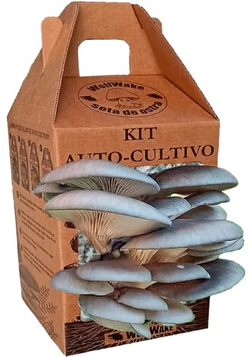 WOLFWAKE Kit autocultivo setas en Casa - Cultivo setas de ostra en 10 Días con dos cosechas, Contiene alpaca de setas y Spray pulverizador, Regalo Original para Amantes de Cocina, Jardinería y Niños