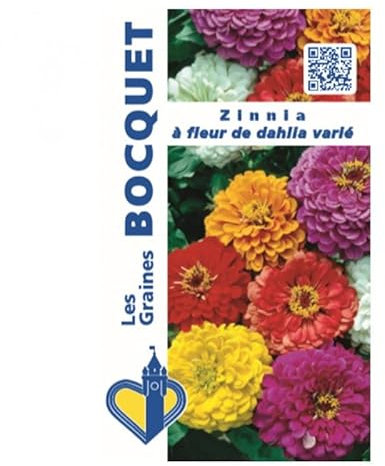 Sachet de graines de Zinnia à fleur de dahlia varié - 1 g - fleur annuelle - LES GRAINES BOCQUET