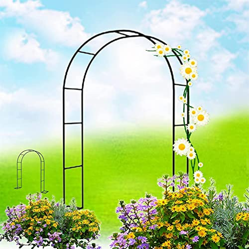 Arche Jardin pour Rosiers Plantes Grimpantes, Metal Arceau à Rosiers, Arche de Rosiers Vigne Mariage, Pergola Tonnelle de Jardin, Intérieur Extérieur Décoration de Fête,300x220x40CM