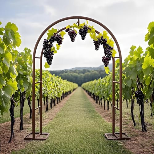 Arco da Giardino per Rose Piante Rampicanti, Supporto in Ferro Graticcio, 140 200 230 240cm Garden Pergola Traliccio Metallo per Decorazioni Nozze Esterni E Interni, Orto, Prato(Bronze,W1.2 x H2.20m)