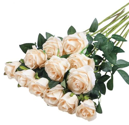 JAONLD Artificial Roses, 12 Pcs Realistic Fake Roses 20 inch Silk Flowers Bridal Bouqets with Single Long Plastic Stem for Wedding Home Birthday Party Arrangment Garden Decoration (Champagne)