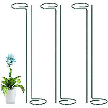 Lot de 6 tuteurs de plantes en métal pour fleurs de jardin en acier à tige unique pour légumes, tomates, amaryllis, orchidées, lys et roses (40,5 cm)