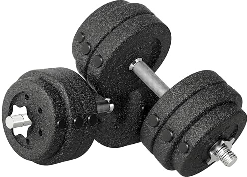 HOMCOM Set di Manubri da Palestra da 30 kg (8x2.5 kg, 4x1.5 kg), Manubri Palestra in Acciaio e Sabbia con Impugnatura Antiscivolo, per Allenamento Fitness Casa, 43x18x7.5 cm, Nero