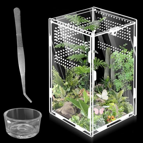 Terrarium à escargots 360° en acrylique : WIYETY Mini terrarium transparent en acrylique pour terrarium Reptile Scorpion Beetle Reptile Reptile (20 x 12 x 12 cm)