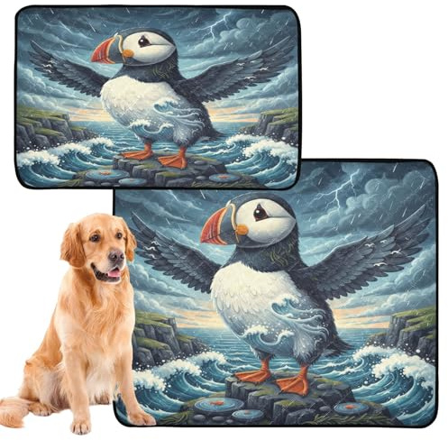 3 Pack Water Absorbing Mat for Dog Bowl Washable Dog Food Mat Anti Slip Rug for Lawn 20x24in Coastal Cliff Collage