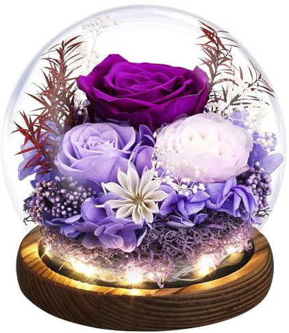 Emibele Gifts for Mom Flowers for Delivery, Birthday Gifts for Women | Preserved Real Rose in Glass Dome with LED Light, Mothers Day Anniversary Valentines Day Gifts for Wife friend Her, Purple