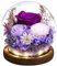 Emibele Mother's Day Eternal Rose Gifts for Mom, Preserved Real Rose in Glass Dome with LED Light for Decoration, Flowers for Delivery Prime, Gifts for Women Wife Her on Birthday Anniversary, Purple