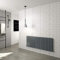 Horizontal Flat Panel Designer Radiator Central Heating Anthracite Rads Double 600x1428mm