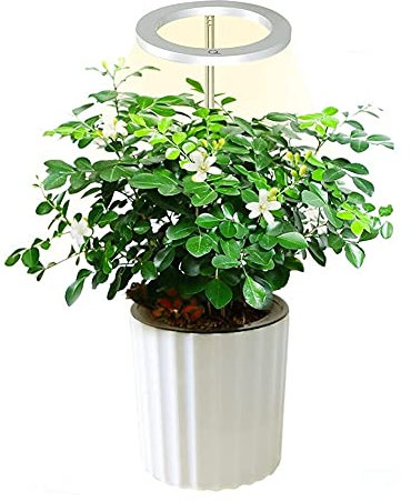 FHYTGBS Petit développent légère Hauteur réglable Automatique de la lumière Plante Pousse minuterie Pleine Spec-Trum LED Plantes d'intérieur élèvent la lumière (Color : Pink and White Light)