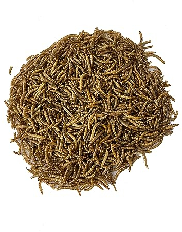 Mehlwürmer getrocknet für Reptilien 1kg - Premium-Qualität, Nahrhaftes Futter, Perfekt für eine Vielzahl von Amphibien, Schildkrötenfutter, Fischfutter Teich & Aquarium, wiederverschließbarer Beutel