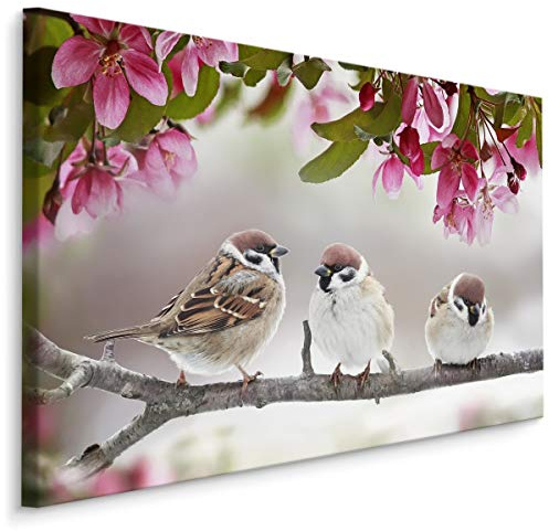 Muralo Cuadro en lienzo de 100 x 70 cm, diseño de animales, pájaros, gorriones, impresión artística, plumas, naturaleza, dormitorio, salón, decoración de pared, diseño XXL 934 x 100 cm x 70 cm