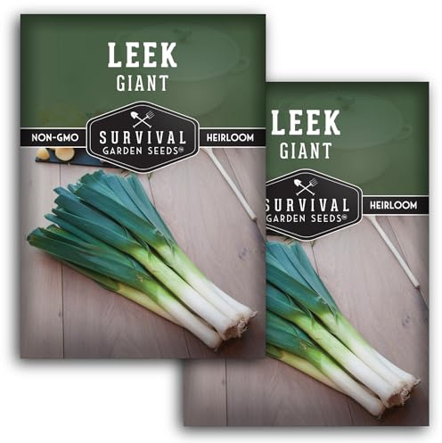 Survival Garden Seeds Giant Leek Seed for Planting - 2 Packets with Instructions to Plant and Grow Enormous Leeks in Your Home Vegetable Garden - Non-GMO Heirloom