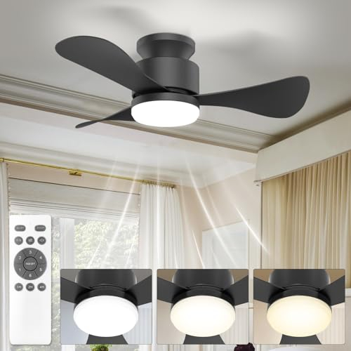 Airwit 71cm Ventilateur Plafond avec Lumiere Silencieux, Petit Plafonnier Ventilateur Plafond avec Telecommande et Réversible DC Moteur, LED Lampe Ventilateur Plafond pour Chambre Salon Cuisine
