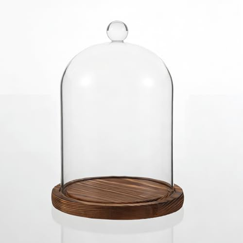 YANJINGHE Cúpula de Cristal con Base de Madera, Vitrina Decorativa de Cristal Transparente con Bandeja, Campana de Cristal Decorativa, 12 x 16 cm, Campana de Cristal, para Plantas, Lámparas, Muñecas