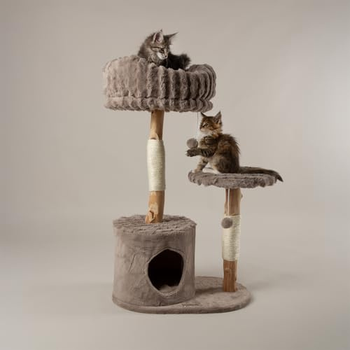 Scruffs Colorado Cat Scratcing Tree