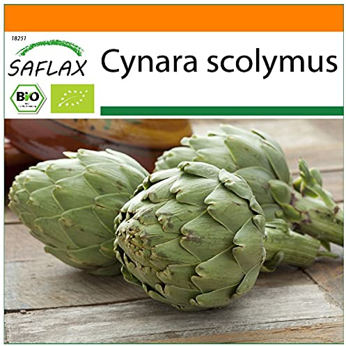 SAFLAX - Garden in the Bag - Ekologiskt - Kronärtskocka - Imperial Star - 5 Frön - Med underlag i en passande resväska - Cynara scolymus
