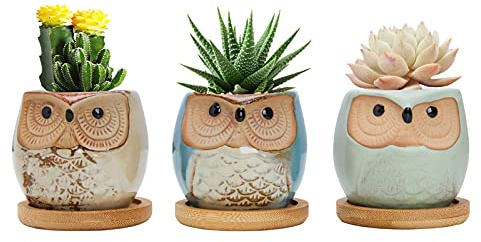 FORAGIFT Owl Succulent Pots, 6CM Cute Owl Cactus Pots Animal Small Plant Pot with Drain Hole and Bamboo Tray, and Great for Home Office Decor, Set of 3 (Plants Not Included)