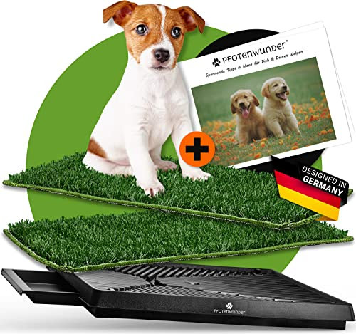 PFOTENWUNDER® Hundeklo XL 76x51cm + 2 Easy-Wash-Rasen, 1 Büchlein, Hunde-Toilette für kleine & große Hunde, Festes Gras & Anti-Rutsch, Welpen-Klo drinnen zuhause Gras Hundetoiletten Balkon Indoor WC