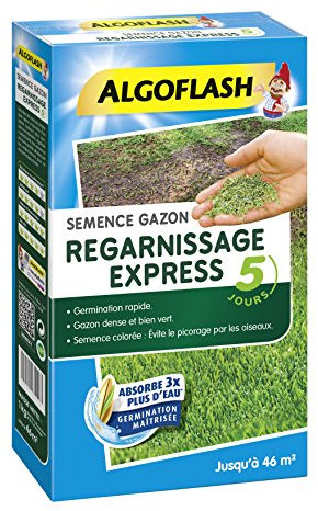 ALGOFLASH Semence Gazon Regarnissage Express 5 jour, 1 k g, SEMEX1, Bleu