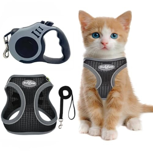 XFSRG Harnais Anti Fugue pour Chat avec Laisse comme Harnais Réglable pour Chats avec Doublure Douce Matériau Maille Respirant Et Éléments Réfléchissants (M)