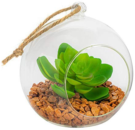 Nicola Spring Hanging Glass Terrarium - 12cm - Open Terrarium Pot Planter for Indoor Outdoor Home Garden Succulent, Cacti, Ferns, Plants Hanging Tabletop Displays
