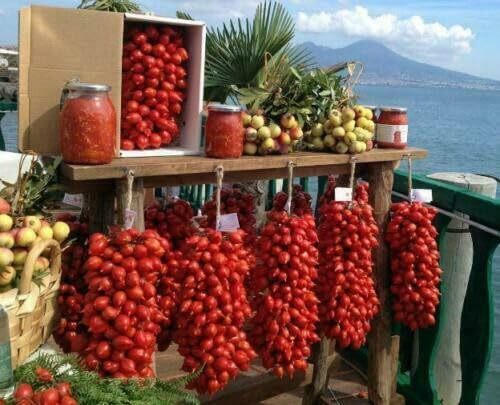 30 SEMI- pomodoro PIENNOLO DEL VESUVIO Solanum lycopersicum semi freschi