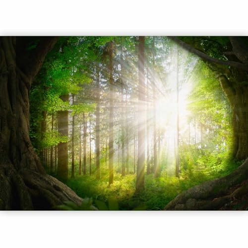 murando Carta da parati Foresta 400x280 cm Fotomurali in TNT Murale alla moda Decorazione da Muro XXL Poster Gigante Design Carta per Pareti Soggiorno Paesaggio Natura Raggio di sole b-A-10119-a-a