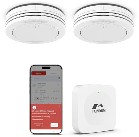 Détecteur de fumée avec Station de Base, allarme antincendio Intelligent interconnecté 10 Ans, Conforme à la Norme EN14604, avec Batterie remplaçable, Compatible avec l'application XINDUM, 2 unités