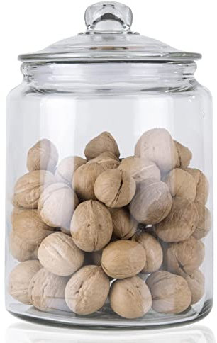 ORNAMI Biscuit Glass Storage Kitchen Jar with Airtight Lid (5.8L)