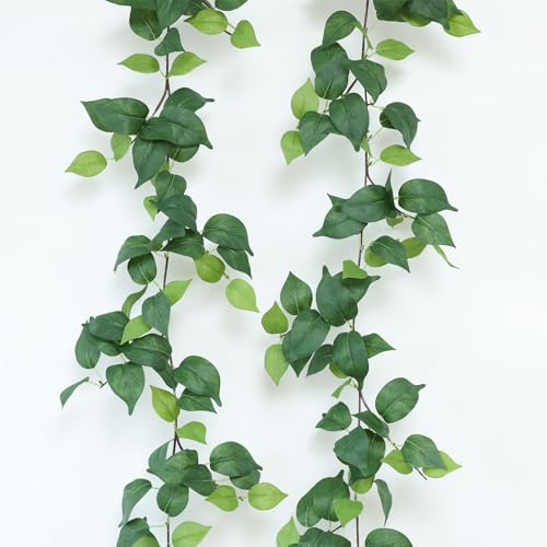 Mizii 2 Strands Artificial Scindaps Vines Garland 73 Fake Vine with Silk Green Leaves Faux Evergreen Hanging Plants Greenery Decoration for Party Wedding Bedroom Home Wall Room Decor (Scindapsus)