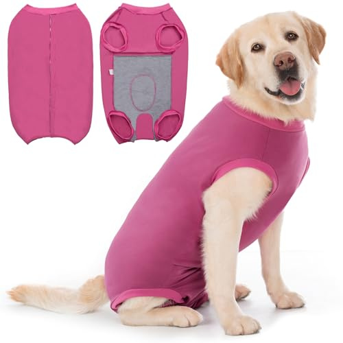 Cyponpy Traje Recuperacion Perro Hembra Macho Camiseta Postoperatorio Body Perro Postcirujia Esterilizacion Ropa Perros Chaleco de Recuperacion Perros Postquirurgico Alternativas al Collares y Conos