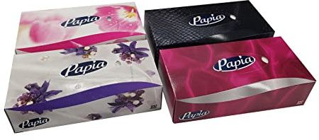 Blake & White 2-Ply Facial Tissues Box Multipack- Soft and Luxurious 100 Sheets Per Box Face Tissues - Extra Absorbent Facial Tissue for Cleaning Spills - Ideal for Home and Office - 24 Pack