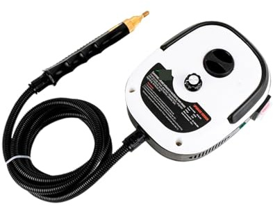 Pulitore a vapore, Pulitore a e da 2500 W Sterilizzazione ad alta temperatura, Aria condizionata Cappa cucina for auto Elettrodomestici per pavimenti, auto(Rot)