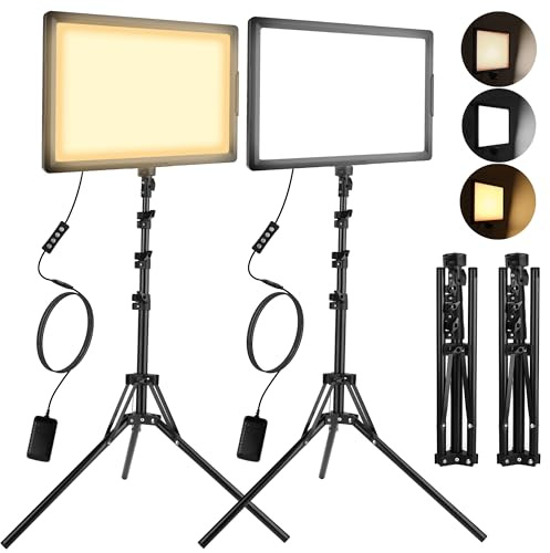 20W LED Photo Video Light 2-Pack, Bi-Color Dimmable Camera Lights, 12-inch