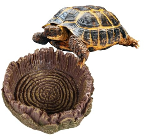 WUSJCOF Récipient pour bol d'eau, bol pour reptiles, bol pour nourriture, bol pour boire, accessoires pour tortues, serpents et geckos.