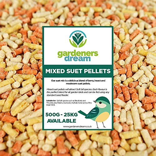 GardenersDream Mixed Suet Pellets | Garden Wild Bird Food Mix | Nutritious and Healthy Feed Mixture | Insect, Berry & Mealworm Pellet| Contains Essential High Energy Vitamins and Minerals (10kg)