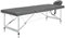vidaXL Massagetisch mit 4 Zonen Tragetasche Höhenverstellbar Massagebank Massageliege Kosmetikliege Therapieliege Aluminiumrahmen Anthrazit 186x68cm