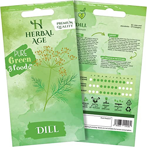 HERBAL AGE Dill Seeds Plants, Grow Your Own Herb Garden Kit, ~500 Seed Box, Salad Herbs for Planting UK, Veg Plant Gardening Gift for Men, Women, Kids, Seeds to Plant Outdoor & Indoor