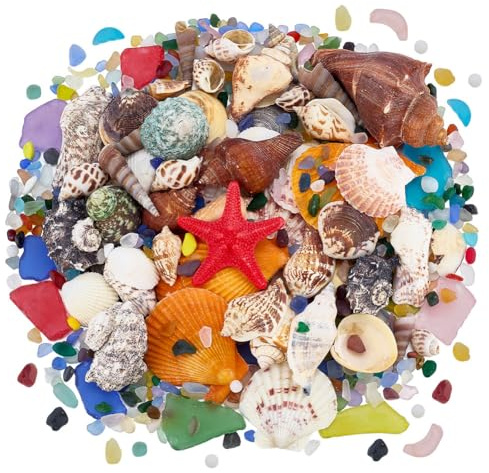 PH PandaHall 600g Misto Conchiglie Pezzi di Vetro di Mare Smerigliato Ciottoli di Vetro Colorato Pietre di Riempimento Vasi per Acquario Ghiaia Artigianato Fai Da Te Decorazioni per La Casa