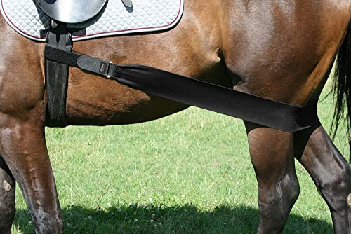 EQuest® Körper Bandage | Farbe: schwarz | Größe: M