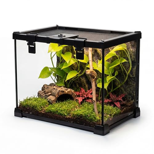 NEPTONION 50 x 30 x 35 cm reptilterrarium, flyktsäkert glas arboreal vivarium för små arboreala reptiler som vapen gecko, med flyktsäker lås och matningslucka