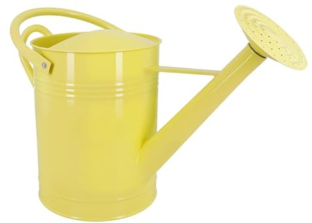Arrosoir Métallique 6,5L Acier Galvanisé - Résistant à la Rouille, Bec Verseur Amovible, Poignée Mobile, Pot d'Arrosage pour Plantes Int/Ext, Jardin, Pelouse et Fleurs (Beige)