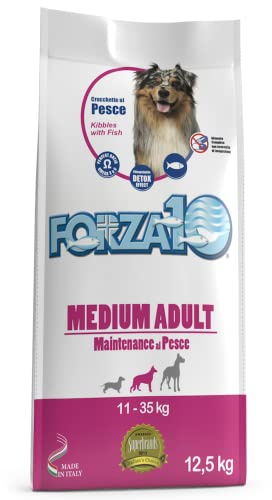 Stärke 10 Medium Adult Fisch Trockenfutter für Hunde 12,5 kg