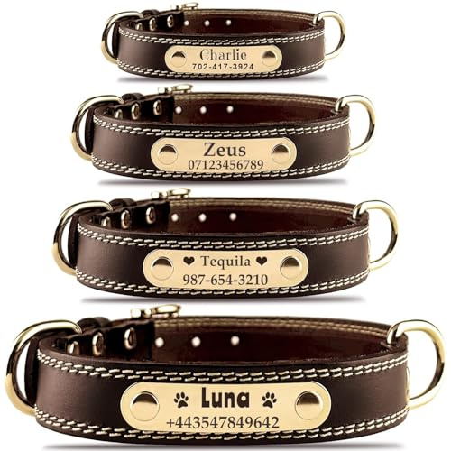 Collare per cani in pelle personalizzato Collare per cani con targhetta incisa personalizzabile, resistente, collare con identificativo, comodo, per cani di piccola, media e grande taglia