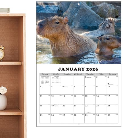 Calendario 2026-2027,Planificador Temático De Capibara Con Bloques Grandes Rayados - Calendario Mensual De Pared 2026-2027 - Para Hogar Escuela Oficinas Aula Sala De Reuniones Estudio
