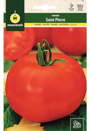 Mascarell Semillas, TOMATE, Semillas Huerto, TOMATE REDONDO S. PIERRE, Crea tu Propio Huerto Urbano y Cultivo en Casa, Plantas Hortícolas, 1 Gramos
